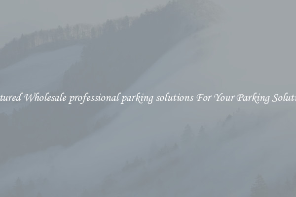 Featured Wholesale professional parking solutions For Your Parking Solutions 