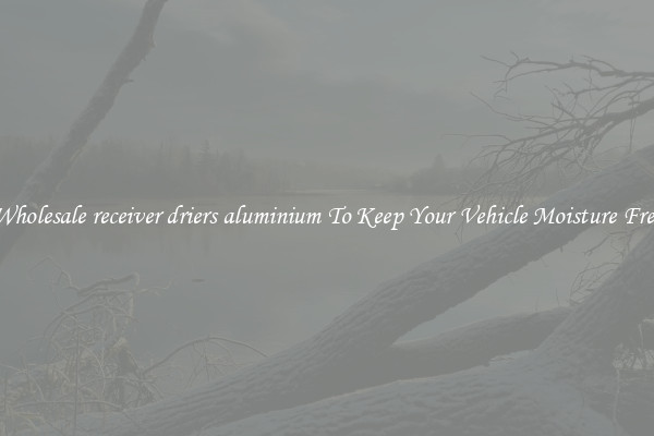 Wholesale receiver driers aluminium To Keep Your Vehicle Moisture Free