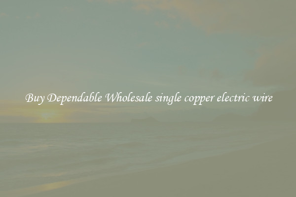 Buy Dependable Wholesale single copper electric wire