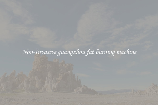 Non-Invasive guangzhou fat burning machine