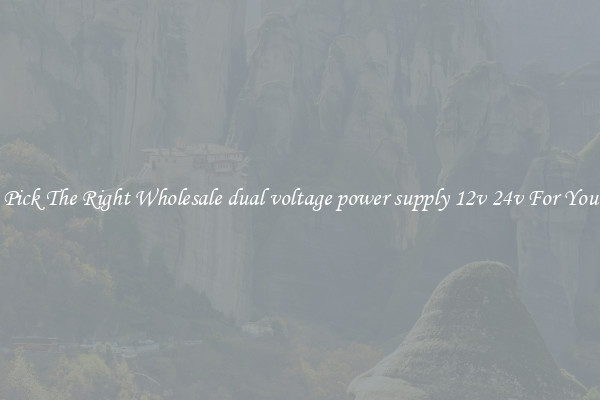 Pick The Right Wholesale dual voltage power supply 12v 24v For You