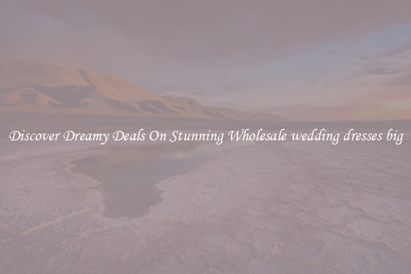 Discover Dreamy Deals On Stunning Wholesale wedding dresses big