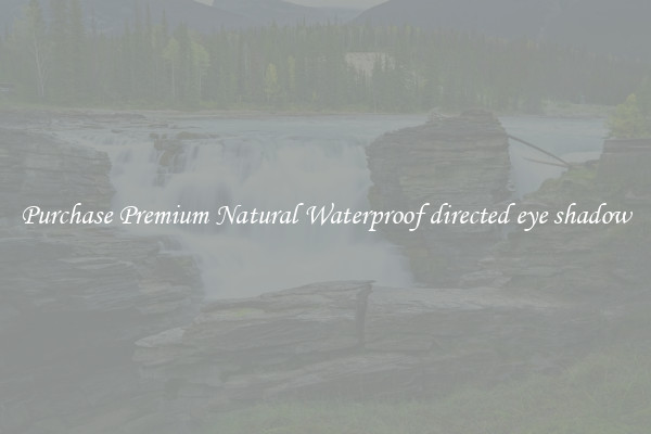Purchase Premium Natural Waterproof directed eye shadow