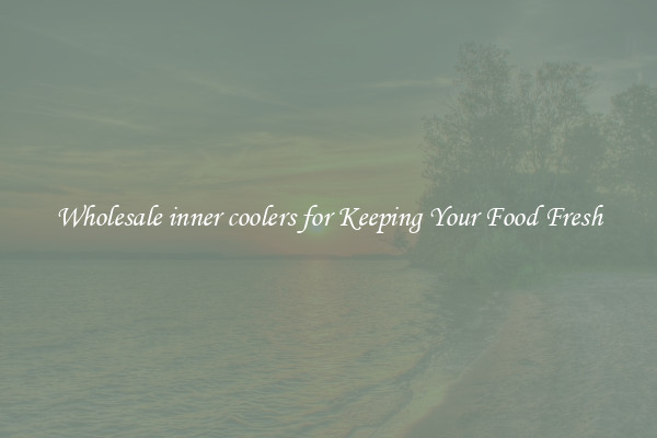 Wholesale inner coolers for Keeping Your Food Fresh