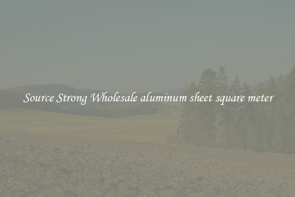 Source Strong Wholesale aluminum sheet square meter