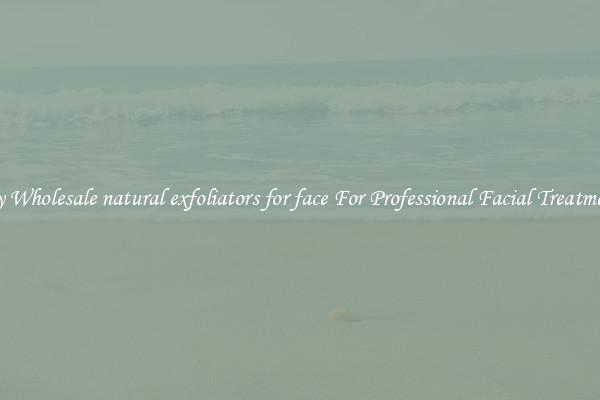Buy Wholesale natural exfoliators for face For Professional Facial Treatments