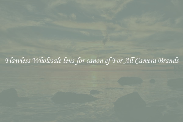Flawless Wholesale lens for canon ef For All Camera Brands