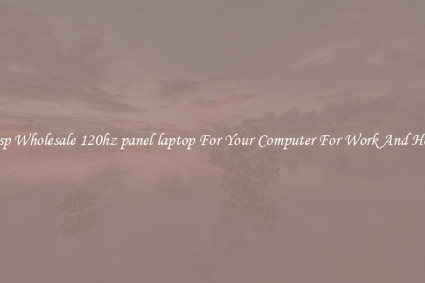 Crisp Wholesale 120hz panel laptop For Your Computer For Work And Home