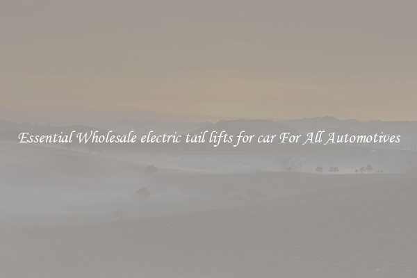 Essential Wholesale electric tail lifts for car For All Automotives