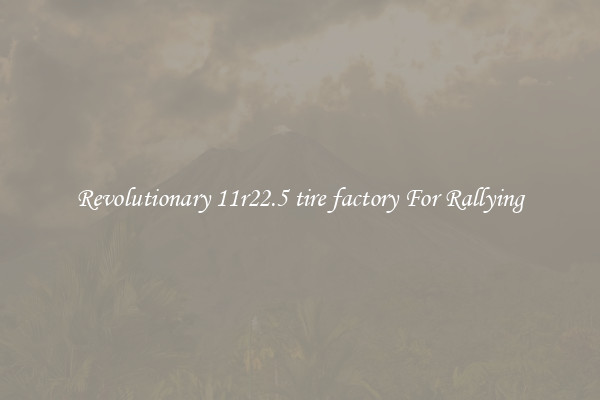 Revolutionary 11r22.5 tire factory For Rallying