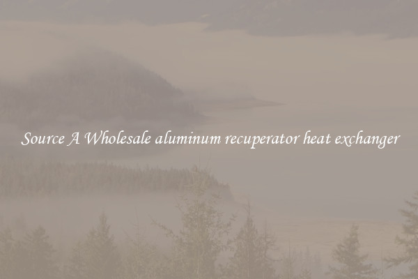 Source A Wholesale aluminum recuperator heat exchanger