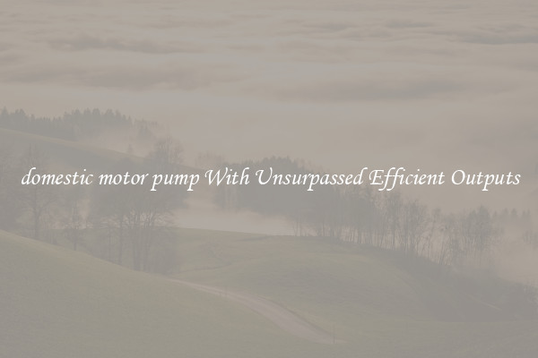 domestic motor pump With Unsurpassed Efficient Outputs
