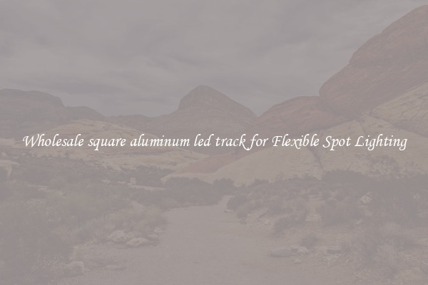 Wholesale square aluminum led track for Flexible Spot Lighting