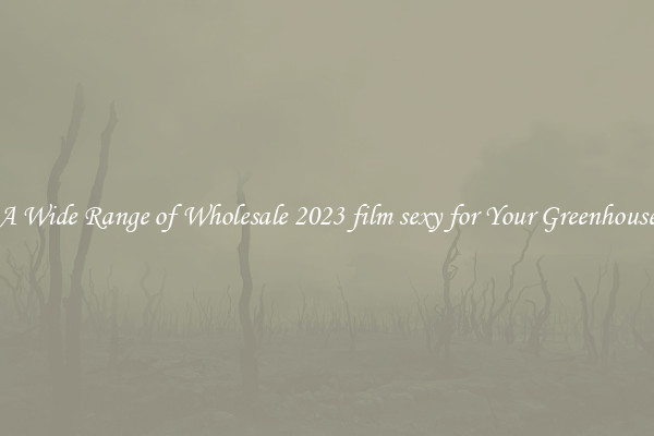 A Wide Range of Wholesale 2023 film sexy for Your Greenhouse