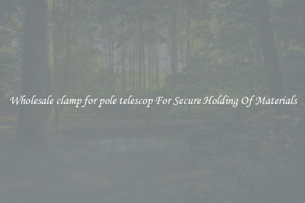 Wholesale clamp for pole telescop For Secure Holding Of Materials