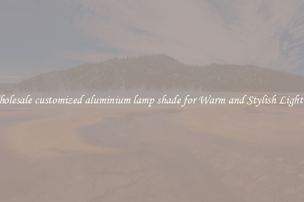 Wholesale customized aluminium lamp shade for Warm and Stylish Lighting